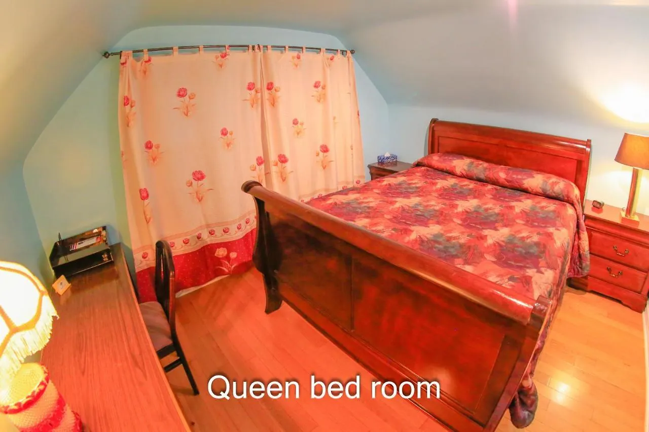 Comfort Home Toronto Guest house